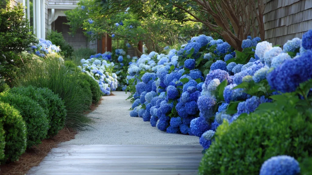 6 Modern Coastal Front Yard Landscaping Ideas 2 Blue Hydrangea Garden Design for Coastal Elegance