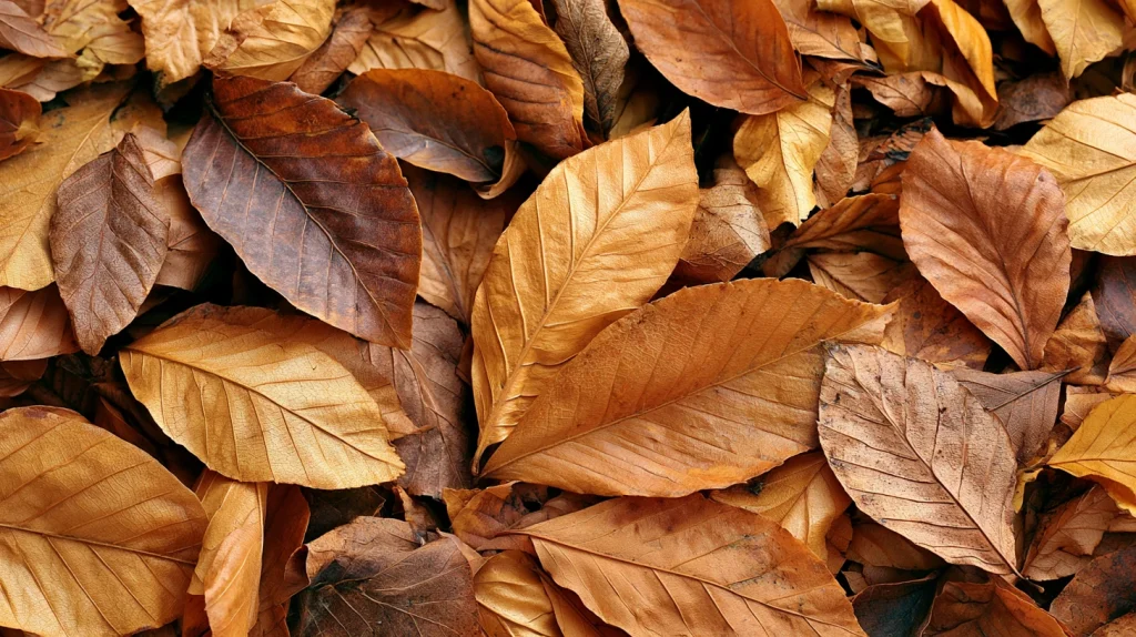 9 Unique What To Put Inside A Birdhouse (Avoid These!) Ideas 8 Leaves Dry and Clean Only